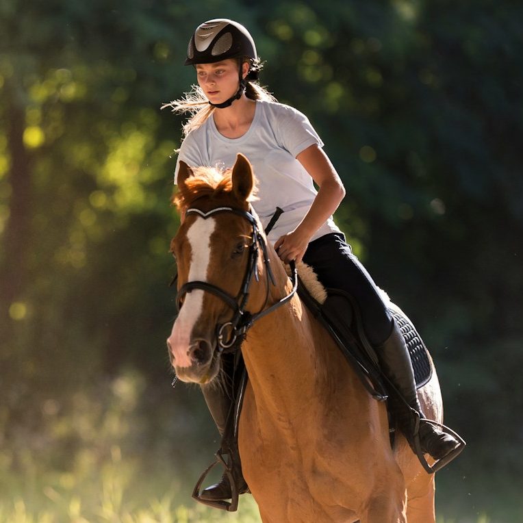 Urlaub mit Pferd Reiterin auf grauem Pferd in natürlicher Umgebung, lächelt freundlich.
